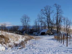 Picture of part of the ranch under snow.