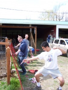 Picture of volunteers having fun.