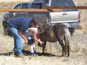 Picture of young boy learning to hoof pick with session leader.