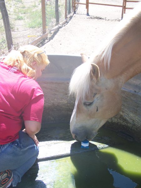 Picture of a horse taking a scrub brush in his mouth and "scrubbing" the bottom of his water trough.
